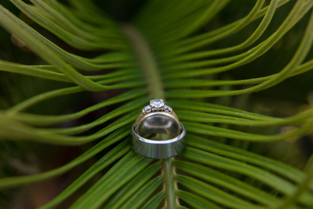 wedding rings on a palm branch